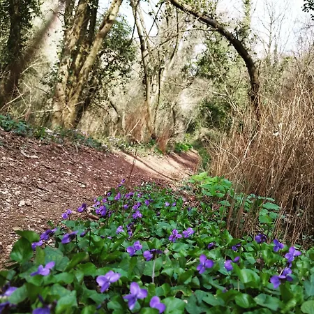 Il Serraglio בית חווה *